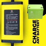 12v Charger